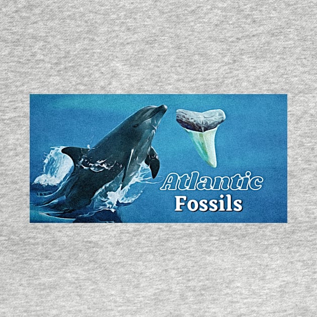 Dolphin and Atlantic Fossils Shark Tooth by AtlanticFossils